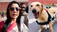 Mahua Moitra Dog